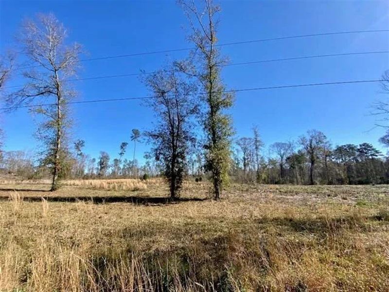 Ole Springs Rd-4 Acres : Summit : Pike County : Mississippi