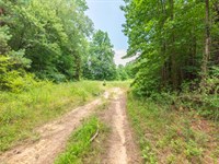No Credit Check, Beautiful Property : Lexington : Henderson County : Tennessee