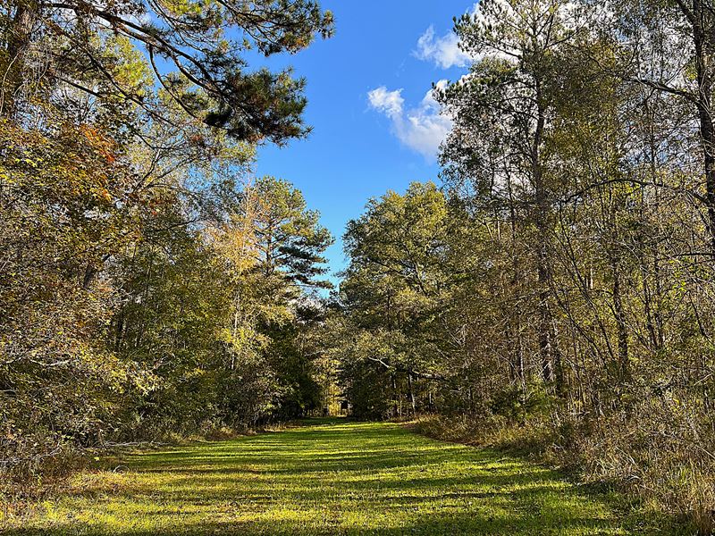 3-054 Ramer Farms 200 : Ramer : Montgomery County : Alabama