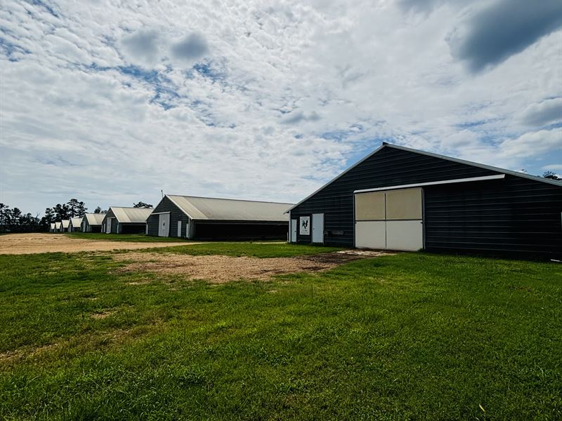 Beautiful 8 House Broiler Farm : Magnolia : Amite County : Mississippi