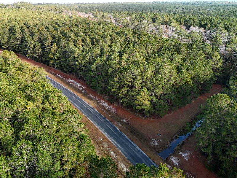 Coastal Equestrian Lot for Sale : Beaufort : Carteret County : North Carolina