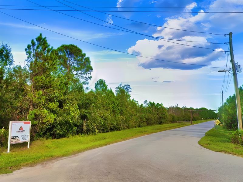 Land for Recreation or Investment : Polk City : Polk County : Florida