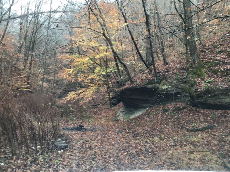 362.33 Acres in Logan County, WV : Logan : Logan County : West Virginia