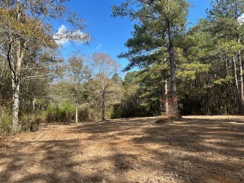 4.5 Acres in Summit MS : Summit : Pike County : Mississippi