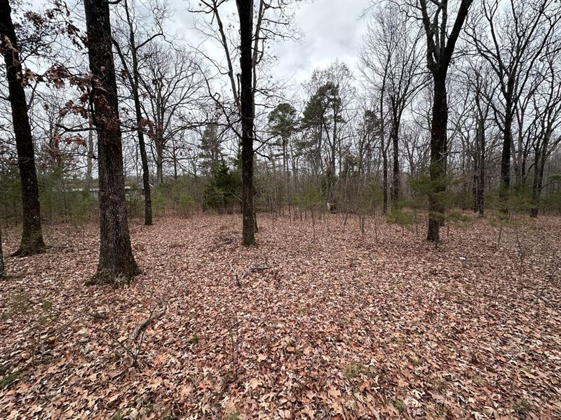 1 Acre, No Restrictions, Cleburn : Concord : Cleburne County : Arkansas