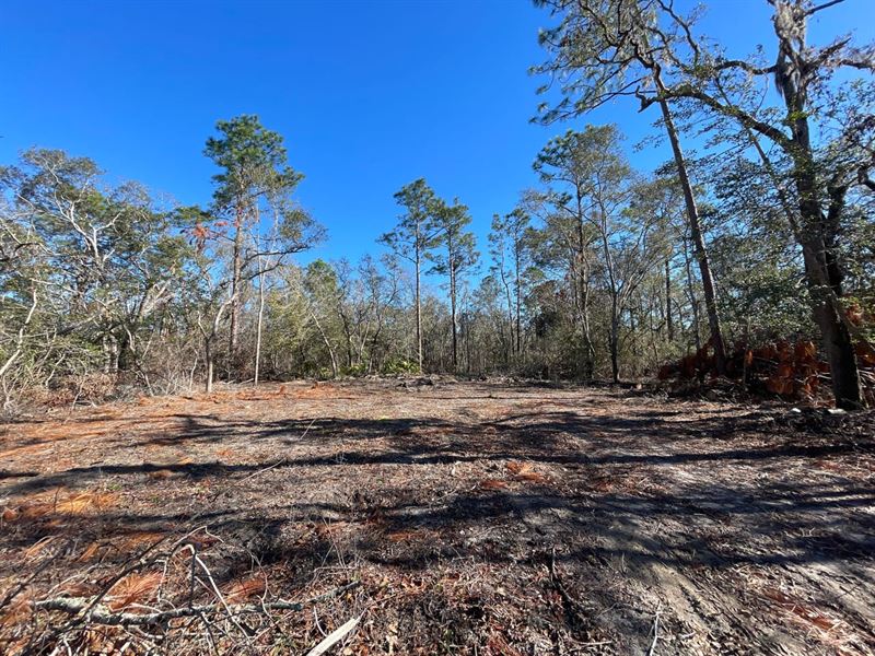 Vacant Lot : Jasper : Hamilton County : Florida