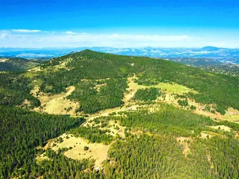 6 Acres with Blm Access : Cripple Creek : Teller County : Colorado