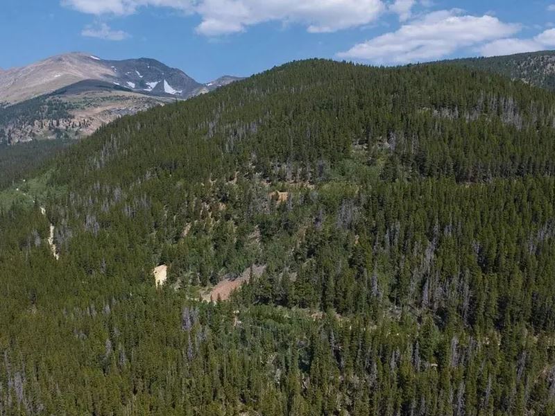 1 Acre of Mountain Getaway : Cripple Creek : Clear Creek County : Colorado