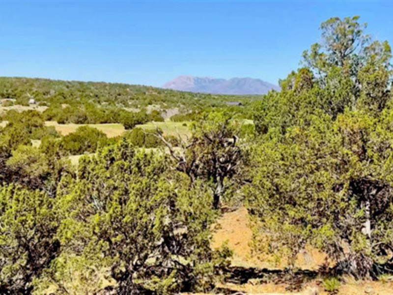 2 Acre of Opportunity : Walsenburg : Huerfano County : Colorado