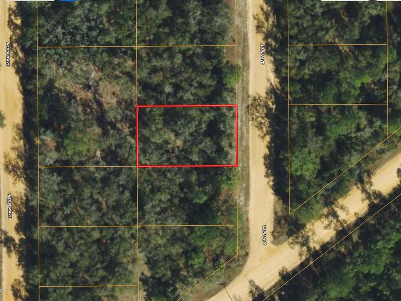 .22 Acre in Putnam County, FL : Interlachen : Putnam County : Florida