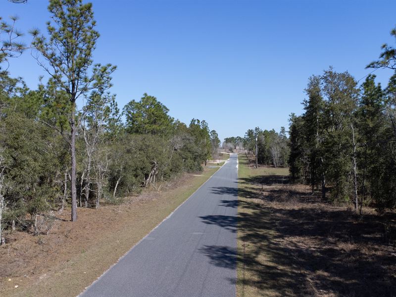 Invest in Nature : Dunnellon : Levy County : Florida