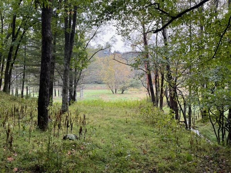 5 Buildable Acres on The New River : Galax : Grayson County : Virginia