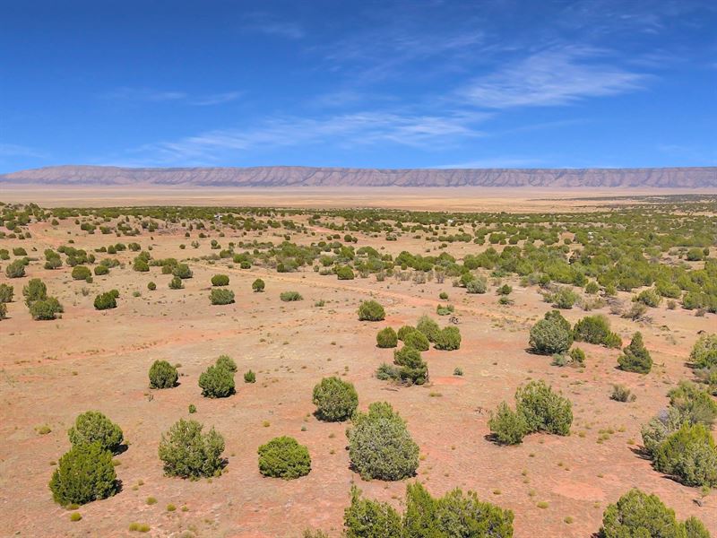 1.17 Acres in Yavapai County, AZ : Seligman : Yavapai County : Arizona