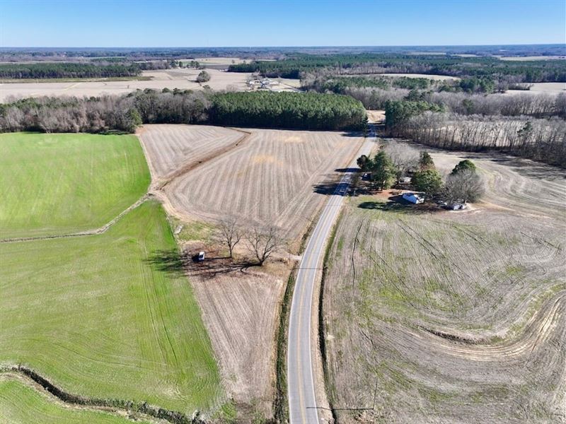 24.1 Acres of Farmland and Timberla : Elm City : Wilson County : North Carolina