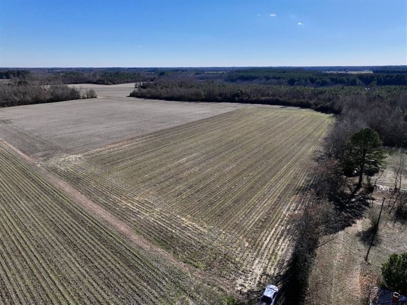 6.79 Acres of Investment, Farmland : Elm City : Wilson County : North Carolina