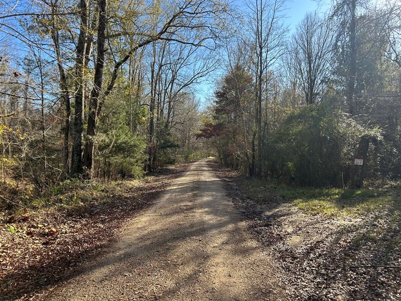 53.33 Acres in Hinds County, MS : Utica : Hinds County : Mississippi