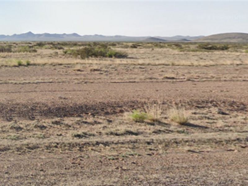 2.5 Acres, $125/Mo : Deming : Luna County : New Mexico