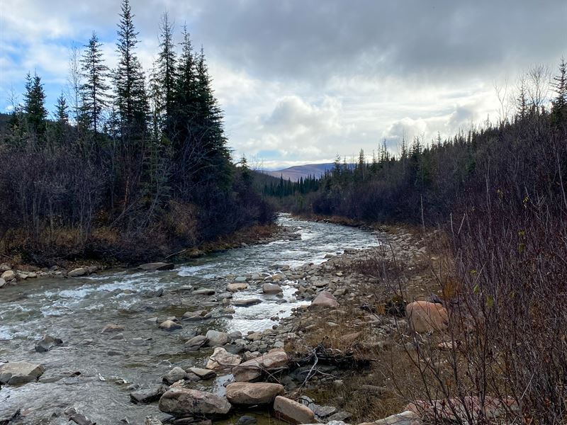 Harrison Creek Gold Mine : Central : Yukon-Koyukuk Borough : Alaska