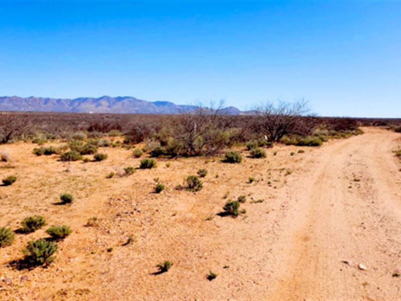 4 Acres of Mountain View : Hereford : Cochise County : Arizona