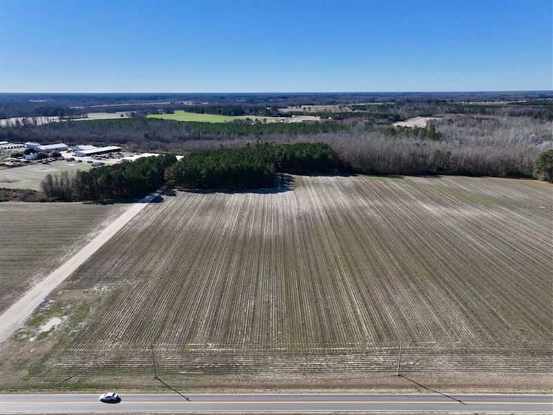 26.4 Acres of Far : Elm City : Wilson County : North Carolina