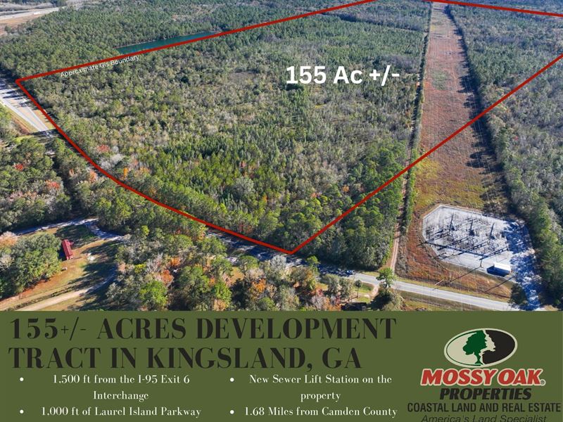 155 Acres Development Tract : Kingsland : Camden County : Georgia