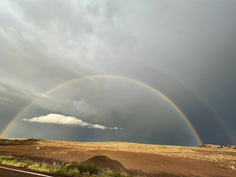 You Struck Gold, Secure This Lot : Sun Valley : Navajo County : Arizona