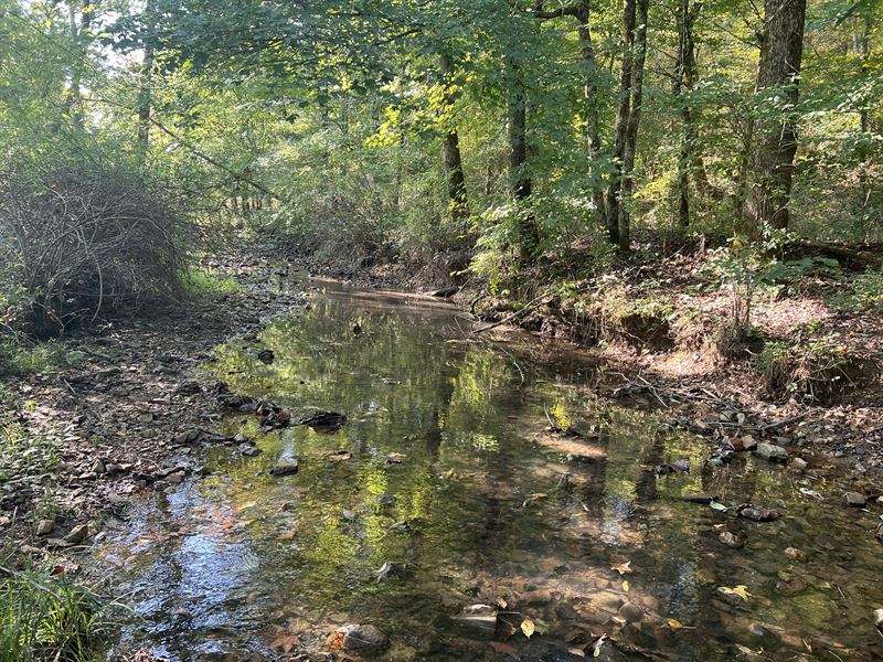 Tract with Creek, Barn, Shop, Well : Clifton : Wayne County : Tennessee