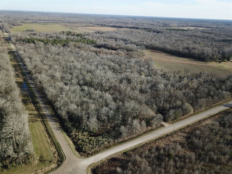 La, Richland 36 Acres : Rayville : Richland Parish : Louisiana