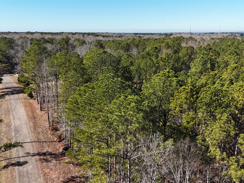 40 Ac, Five Points, Chambers Co : Five Points : Chambers County : Alabama