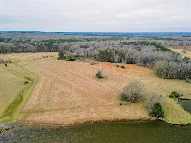 Flora Mississippi 78 Acres for Sa : Flora : Madison County : Mississippi