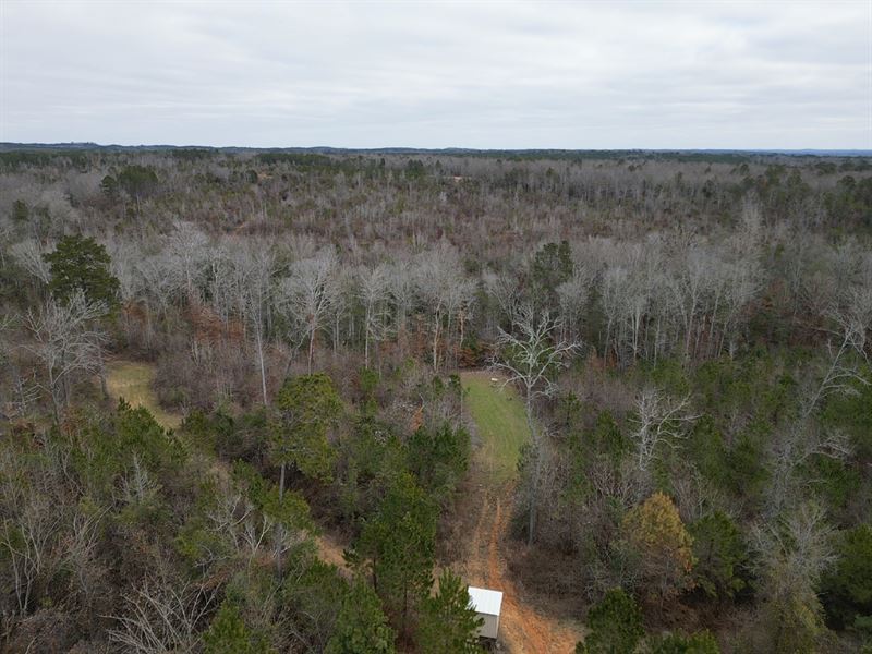 82 Acres Benevola Pickens Count : Gordo : Pickens County : Alabama