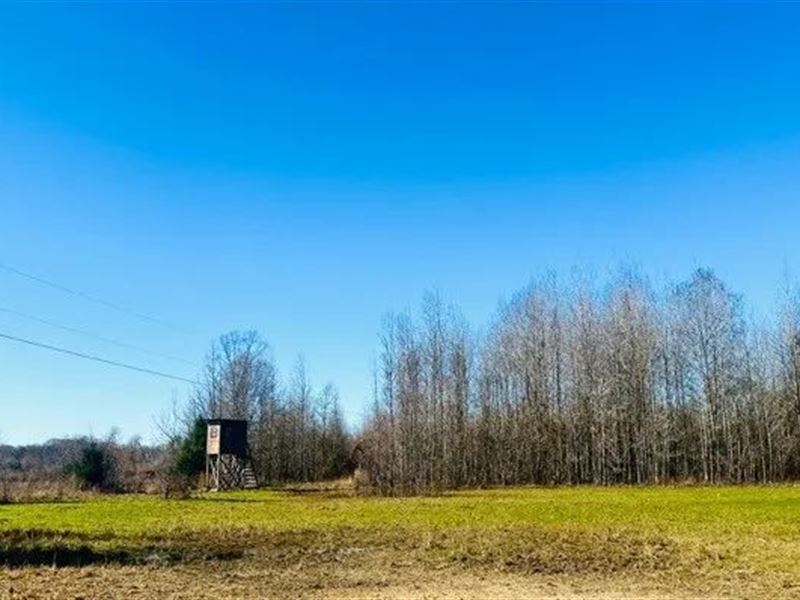 10 Acres in Holmes County in Lexing : Lexington : Holmes County : Mississippi