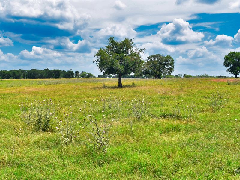 1.08 Acres in Caldwell County, TX : Luling : Caldwell County : Texas