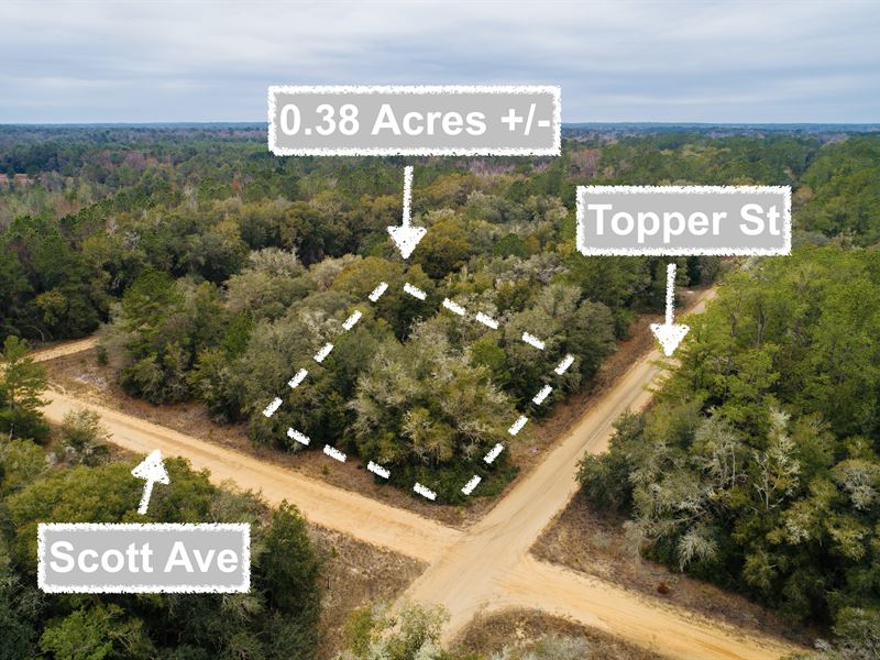 Prime Corner Lot : Interlachen : Putnam County : Florida