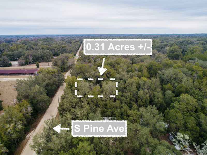 Tranquil 0.31 Acre Gem : Florahome : Putnam County : Florida