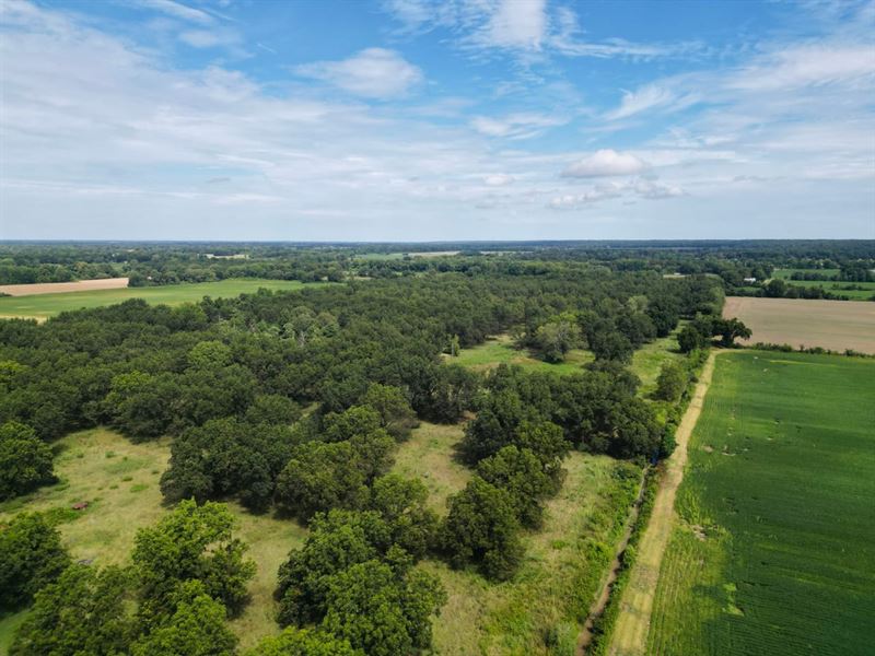 80 Acre Pecan Orchard : Lexa : Phillips County : Arkansas