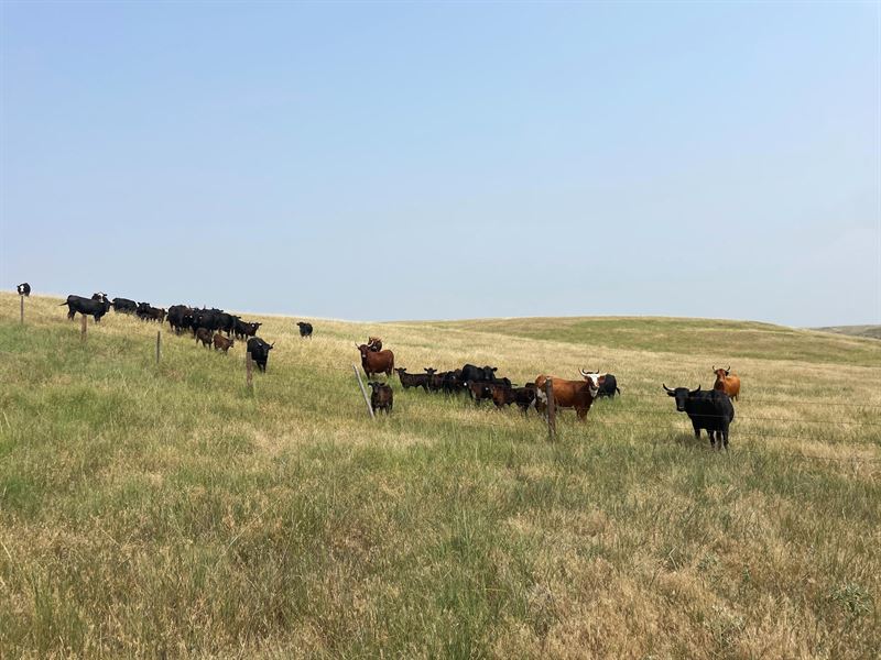 404 Acres, Garden County Grassland : Oshkosh : Garden County : Nebraska