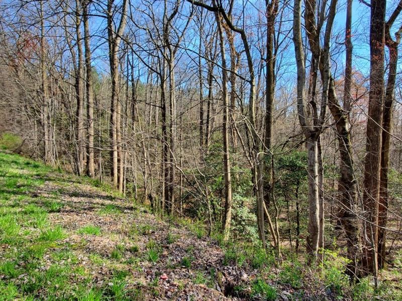 26.66Ac, 5761 Yadkin Wilkes Rd : Hamptonville : Yadkin County : North Carolina