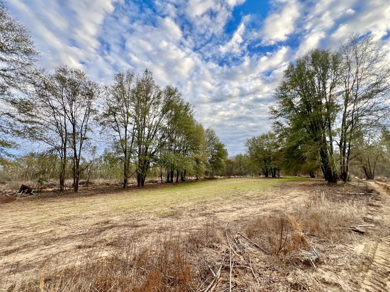 Yellow Bluff Highway-10 Homesite : Pine Hill : Wilcox County : Alabama