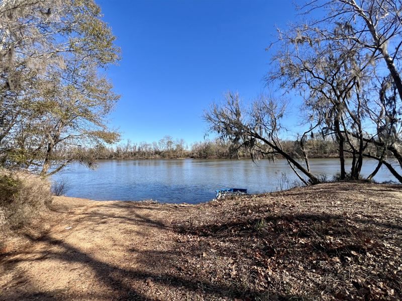 Lower Peach Tree Alabama River : Lower Peach Tree : Wilcox County : Alabama