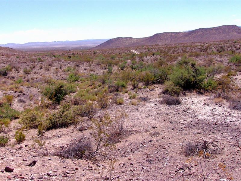 42 Acre Mountain Ranch : Dolan Springs : Mohave County : Arizona