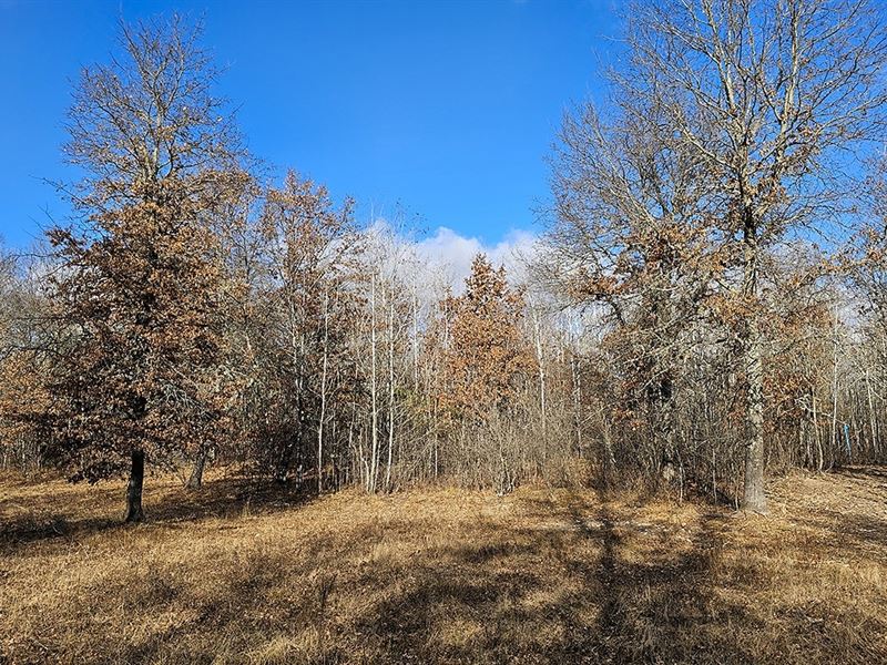 Spooner, WI Wooded 5 Acres : Springbrook : Washburn County : Wisconsin