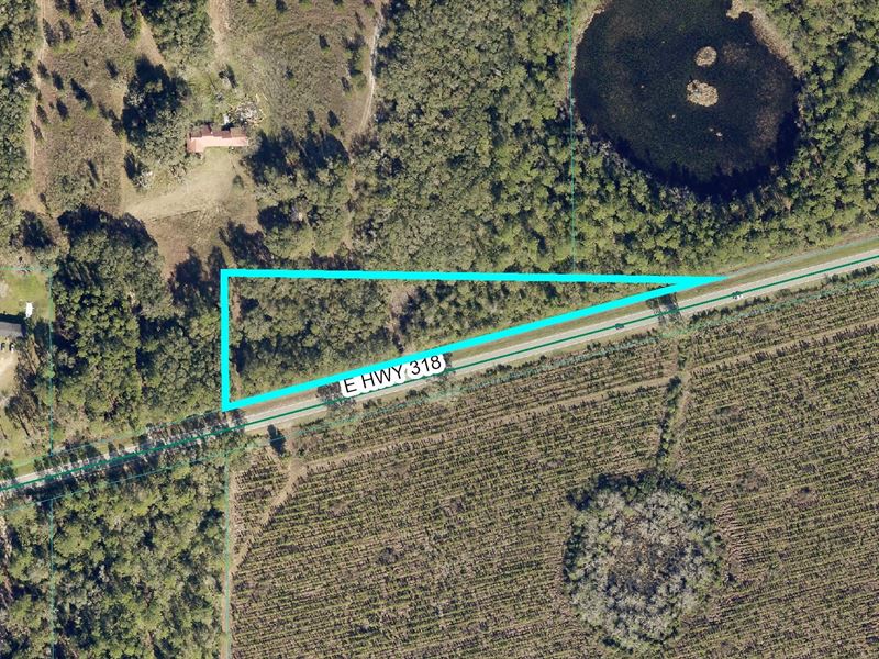 2.7 Ac, Hwy 318 Citra, FL : Citra : Marion County : Florida