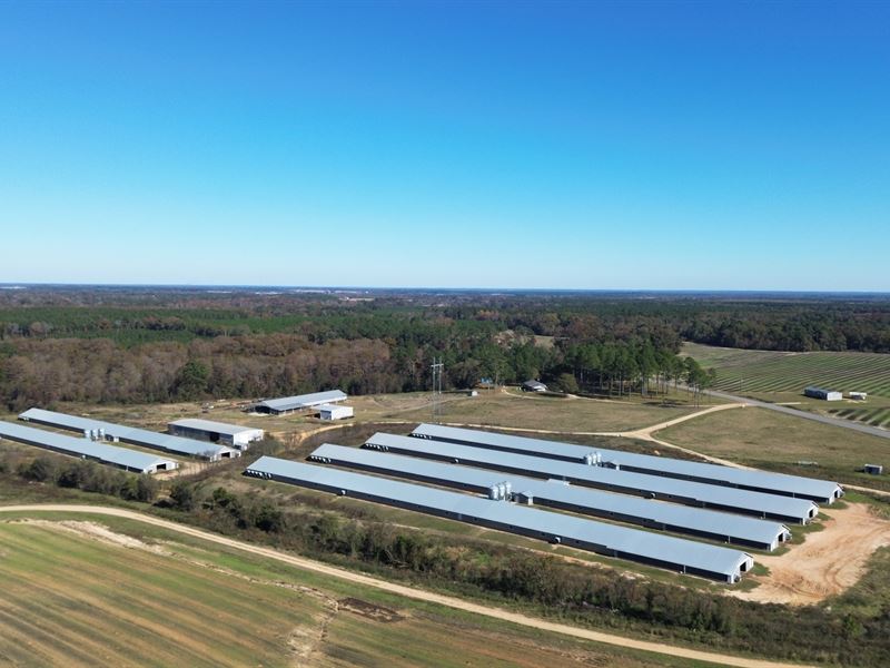 6 House Broiler Farm in Pineview : Pineview : Pulaski County : Georgia