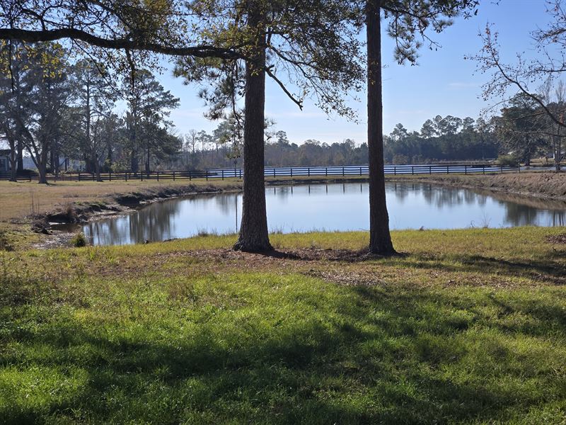 Beautiful Mini Farm Close to 1-75 : Tifton : Tift County : Georgia