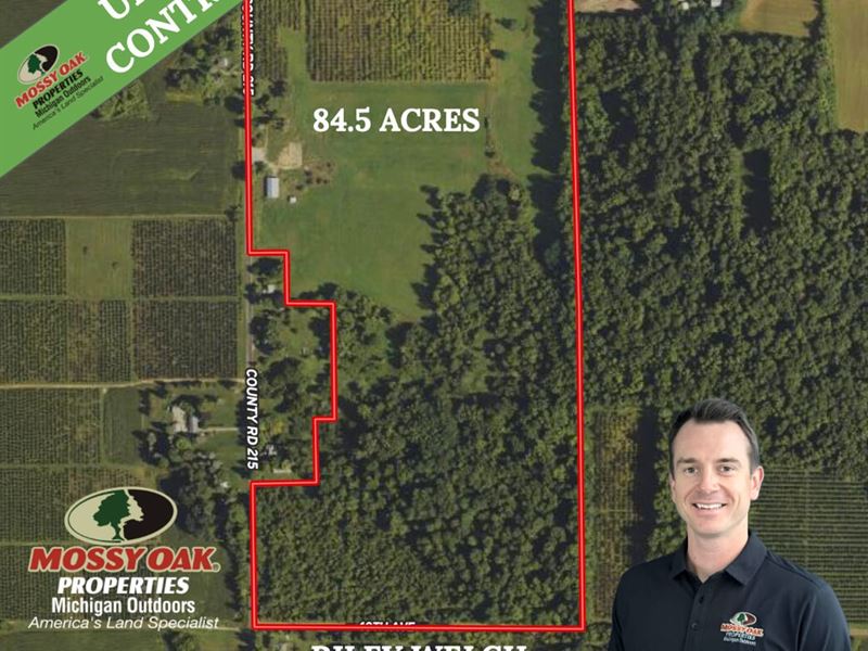 84.5 Acres, Van Buren Dream Farm : Bangor : Van Buren County : Michigan