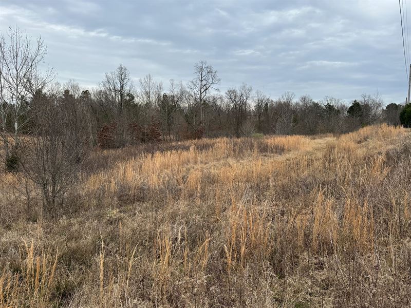 2 Acres in Tate County, MS : Coldwater : Tate County : Mississippi