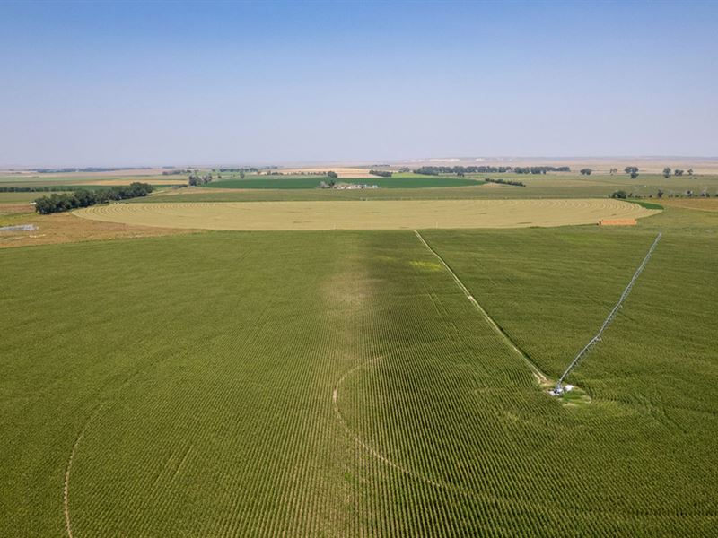 Sioux County Farm : Morrill : Sioux County : Nebraska