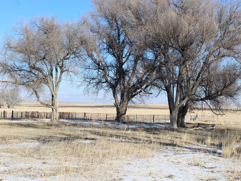 Sioux County Irrigated Farm : Morrill : Sioux County : Nebraska