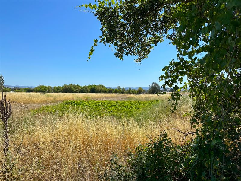 Industrial Acreage Near Walmart : Oroville : Butte County : California